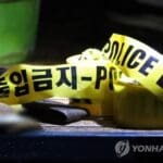 고스톱 치던 할머니 3명 흉기 피습…도주한 50대 검거