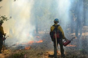 Two fire fighters standing in front of a forest fire
